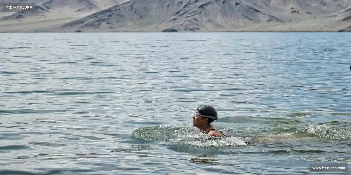 行业领先的理由